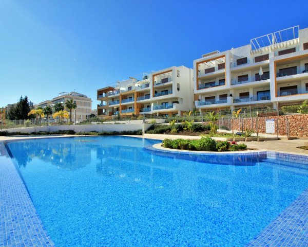 Perfect Apartment Found Thanks to Erika