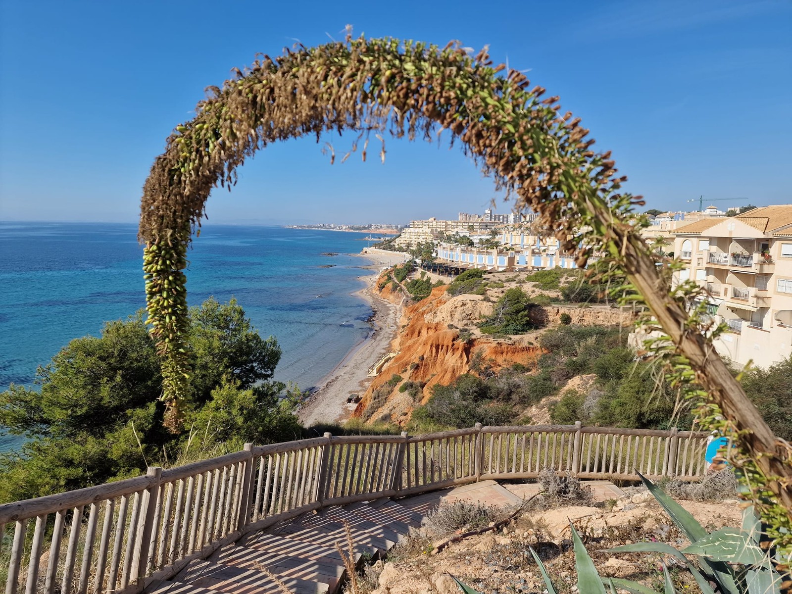 apartment en cabo-roig · cabo-roig 184995€