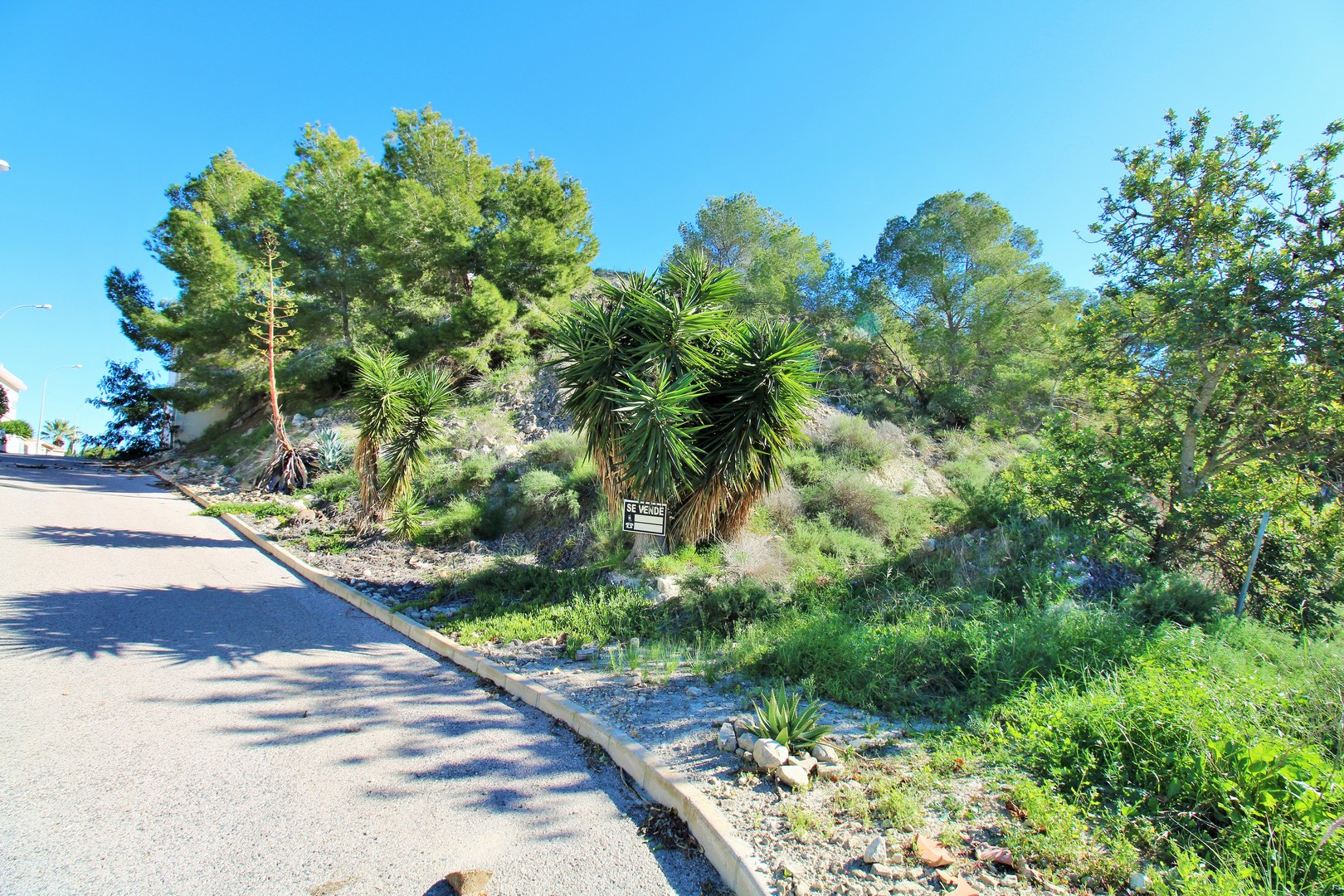 plots en san-miguel-de-salinas · san-miguel-de-salinas 83400€