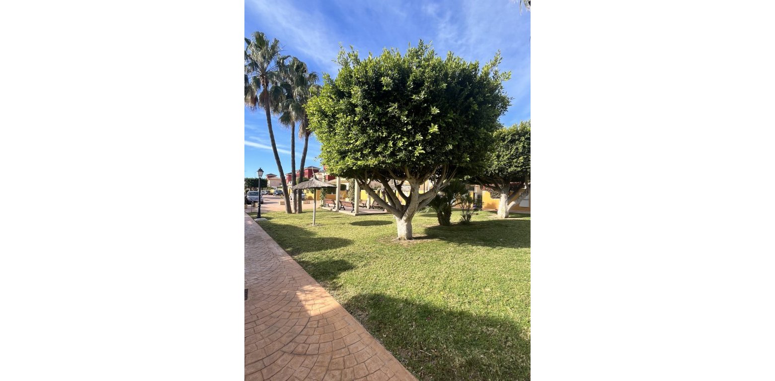 Vente - Appartement - Cabo Roig