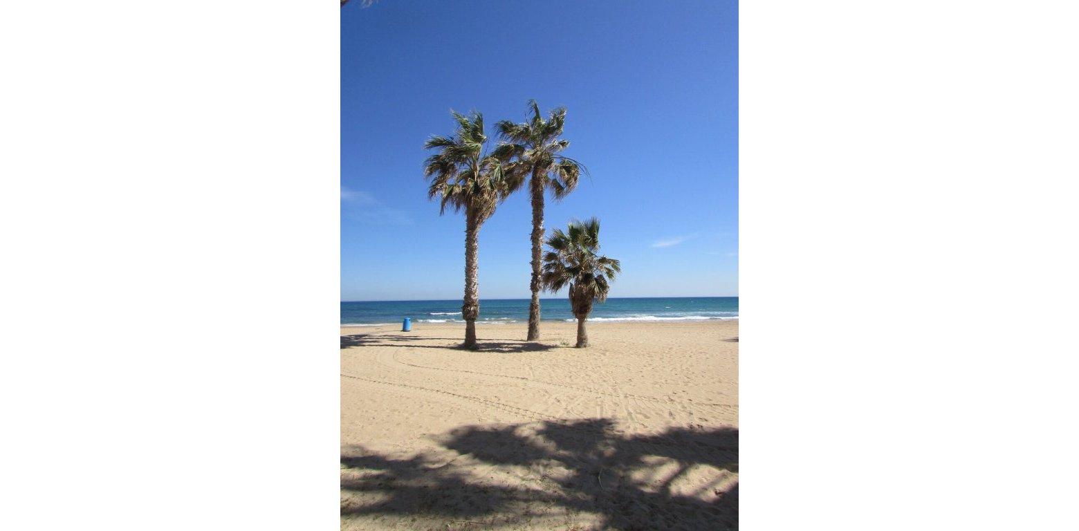 Sale - Lägenhet - Torrevieja - La Mata