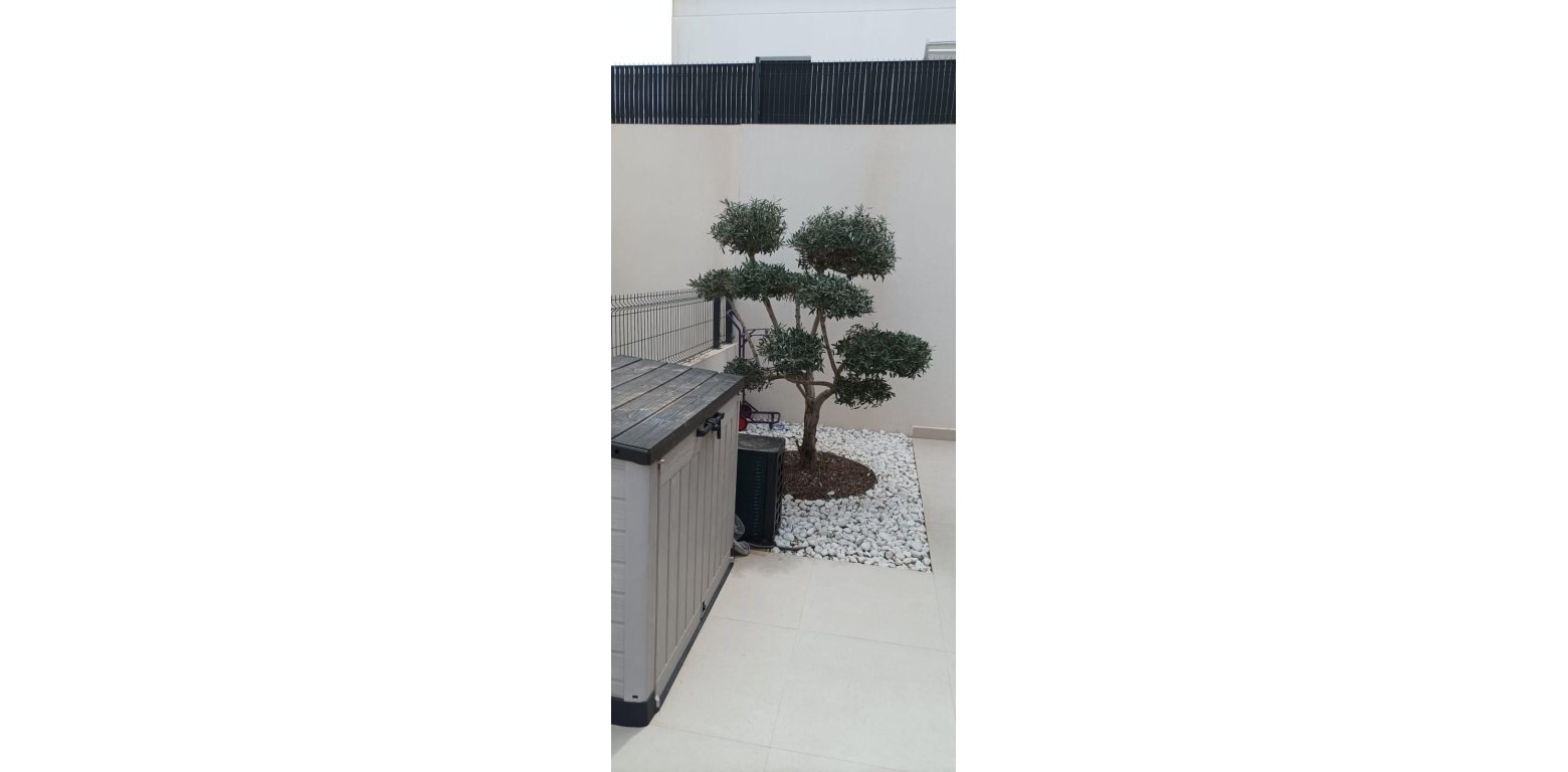 Resale - Villa - Algorfa