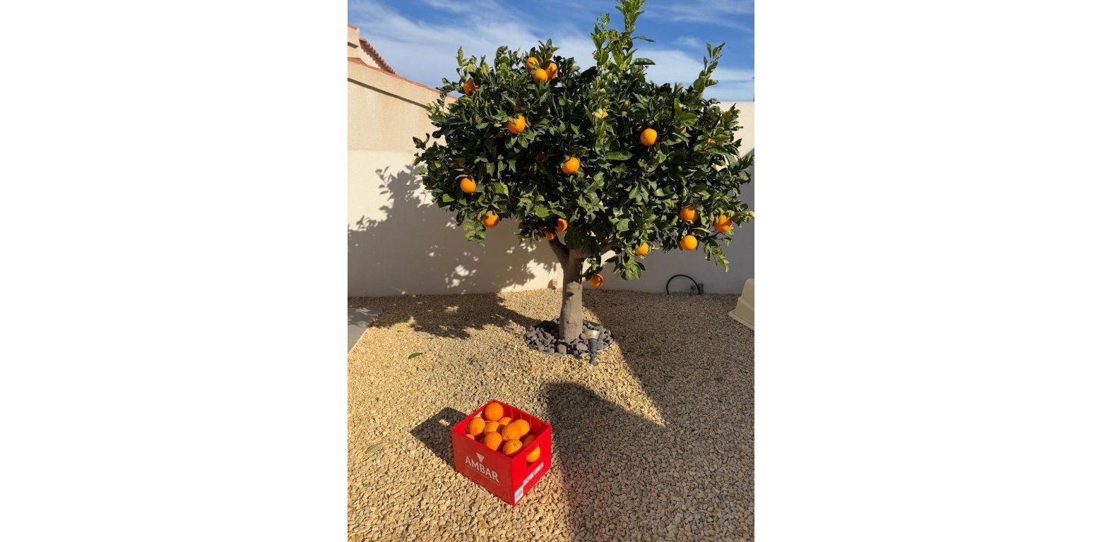 Resale - Villa - Rojales - Ciudad Quesada