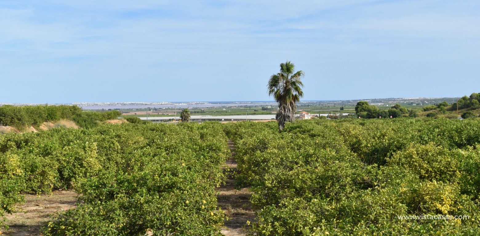 Vente - Villa - San Miguel de Salinas - Torremendo