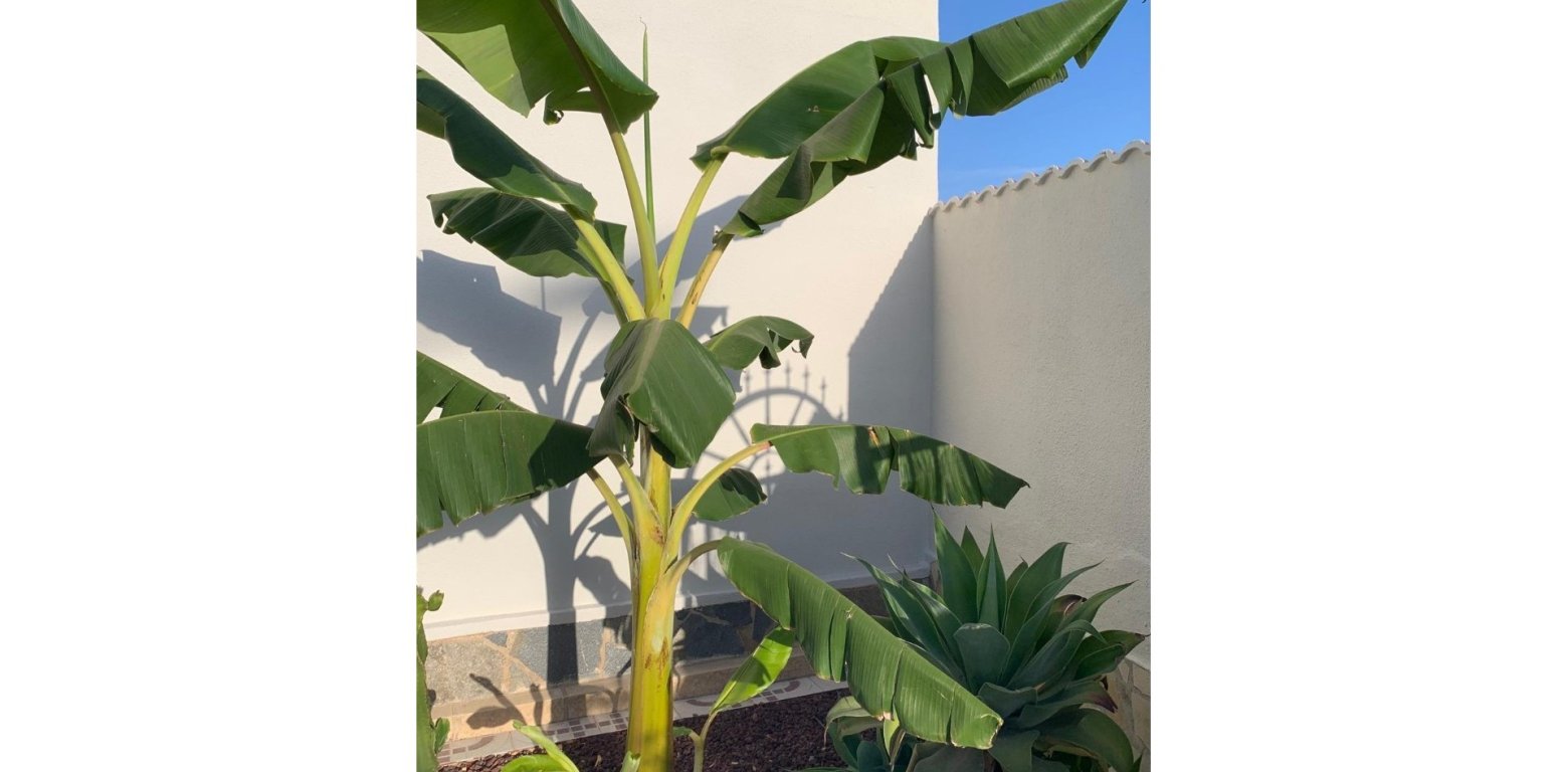 Resale - Villa - Rojales - Ciudad Quesada