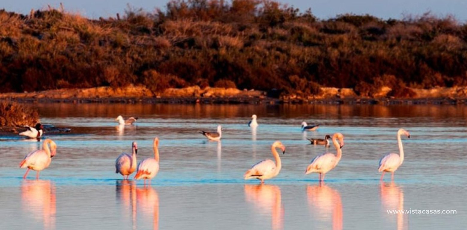 Nouvelle Construction - Maison Mitoyenne - San Pedro del Pinatar