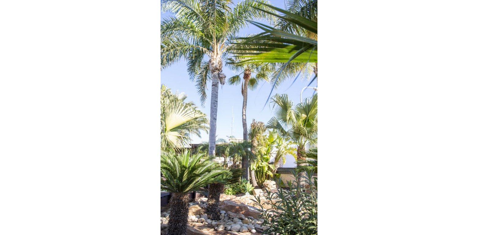 New Build - Villa - San Pedro del Pinatar