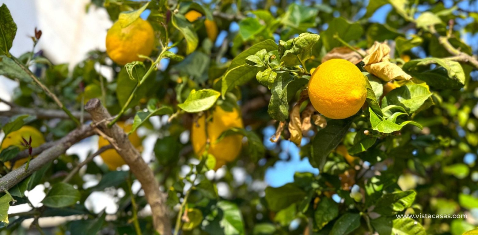 Venta - Chalet - Villamartin