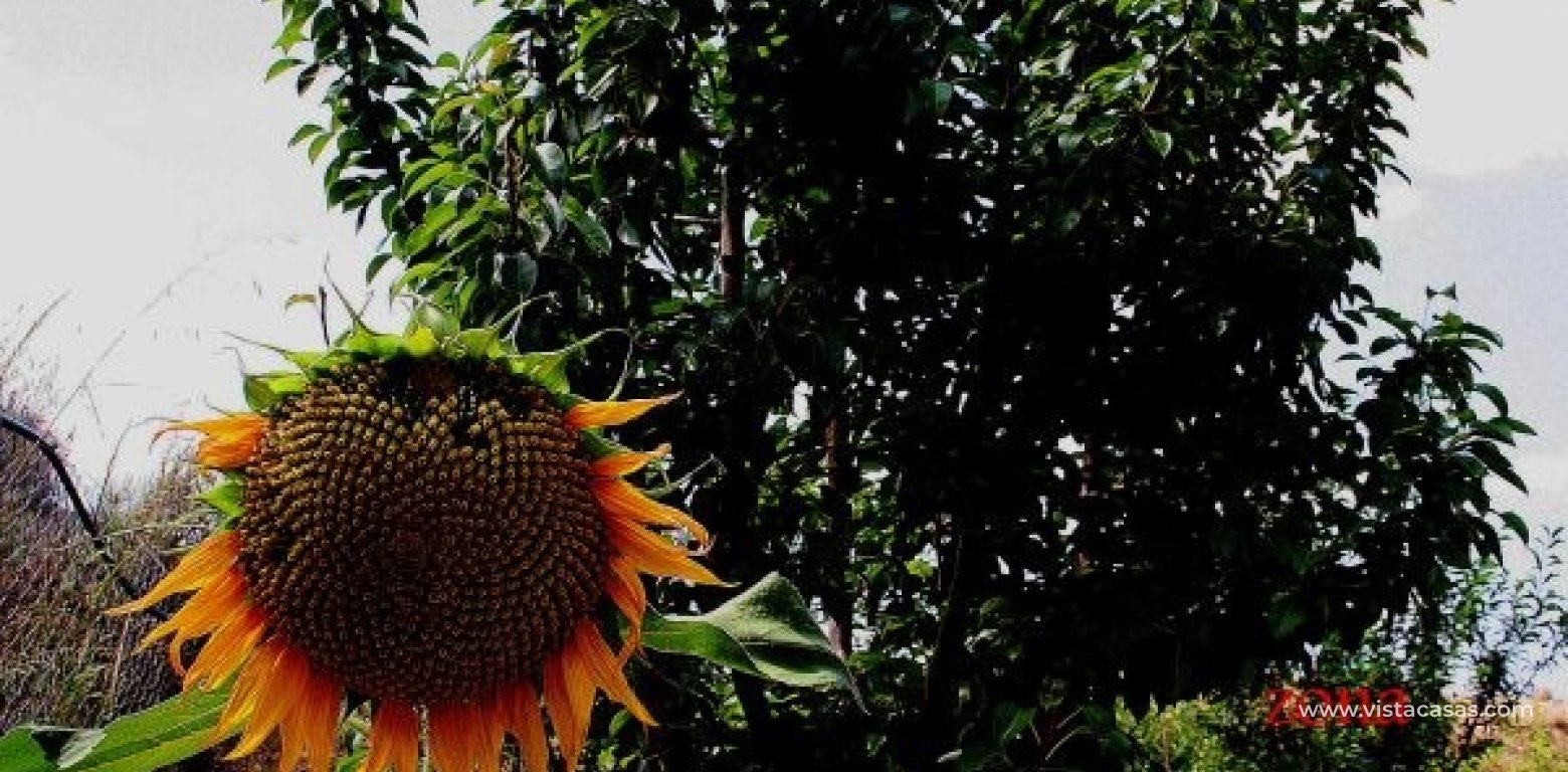 Vente - Villa - Gea Y Truyols