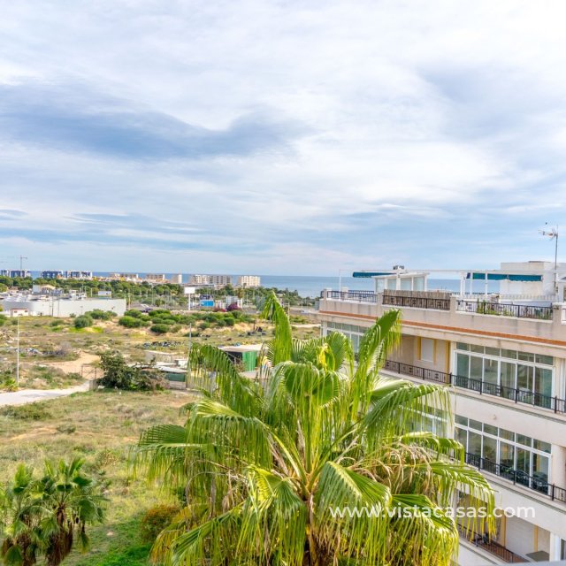 Appartement - Vente - Playa Flamenca - Playa Flamenca