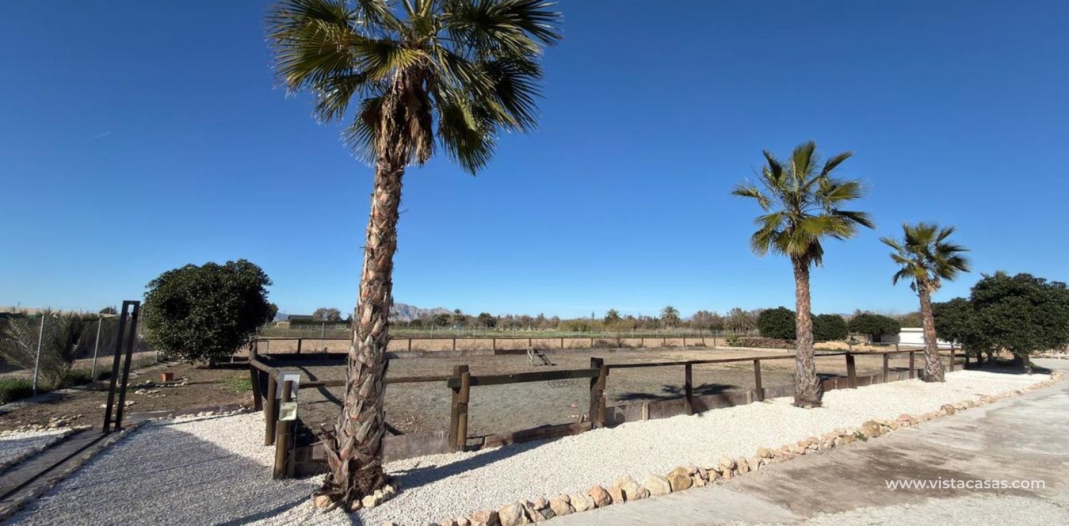 Sale - Plot - Algorfa