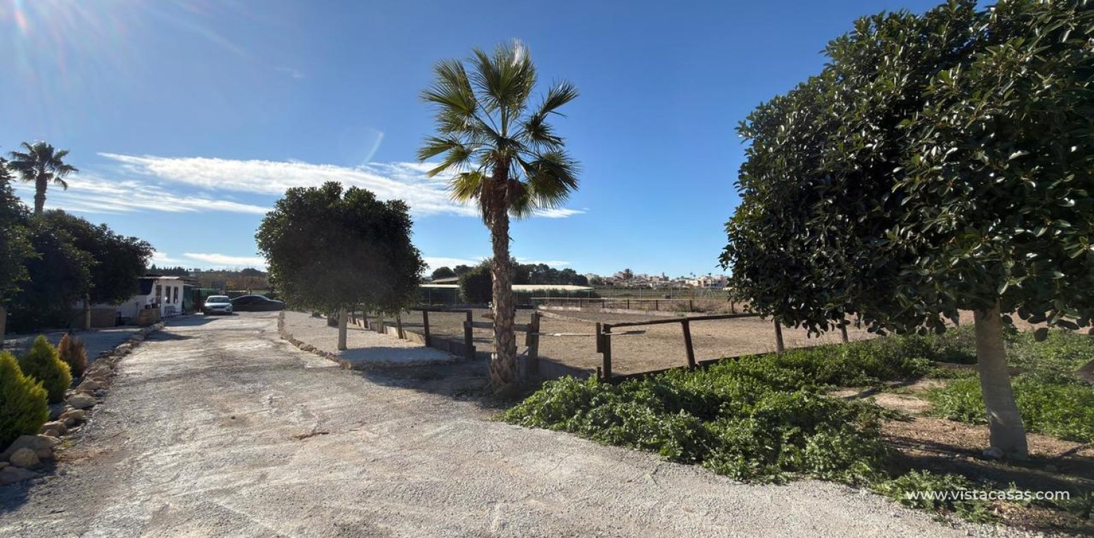 Sale - Plot - Algorfa