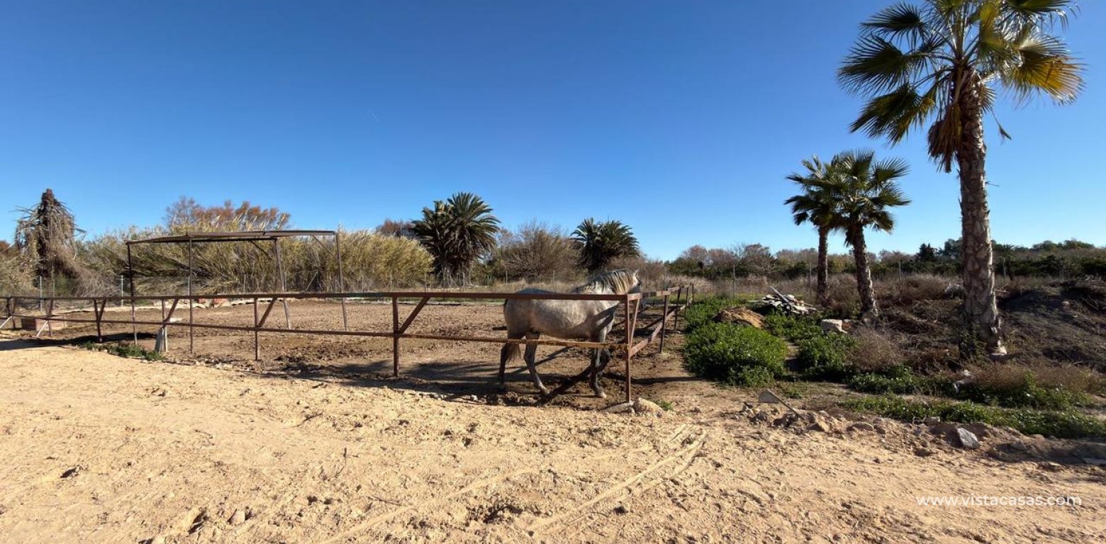 Sale - Plot - Algorfa