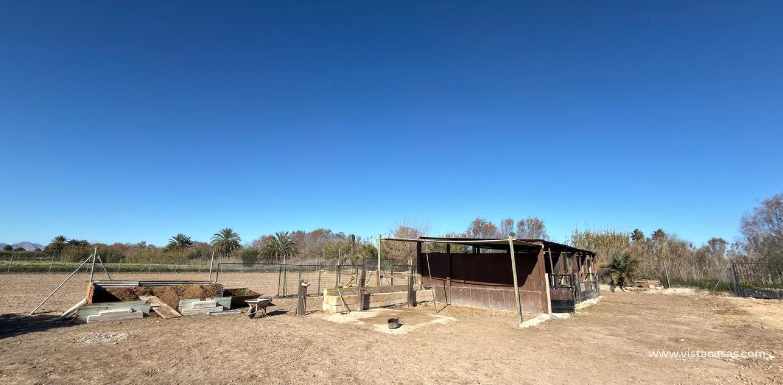 Sale - Plot - Algorfa