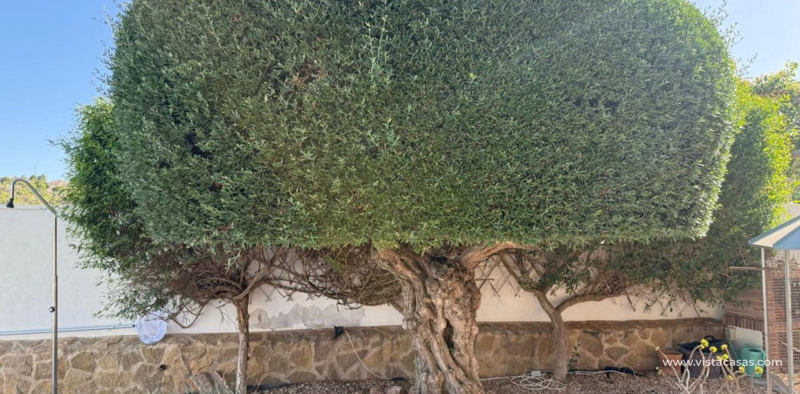 Resale - Villa - San Miguel de Salinas