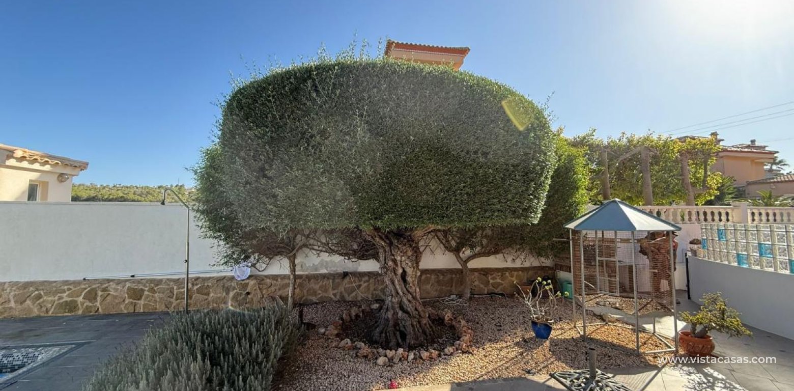 Resale - Villa - San Miguel de Salinas