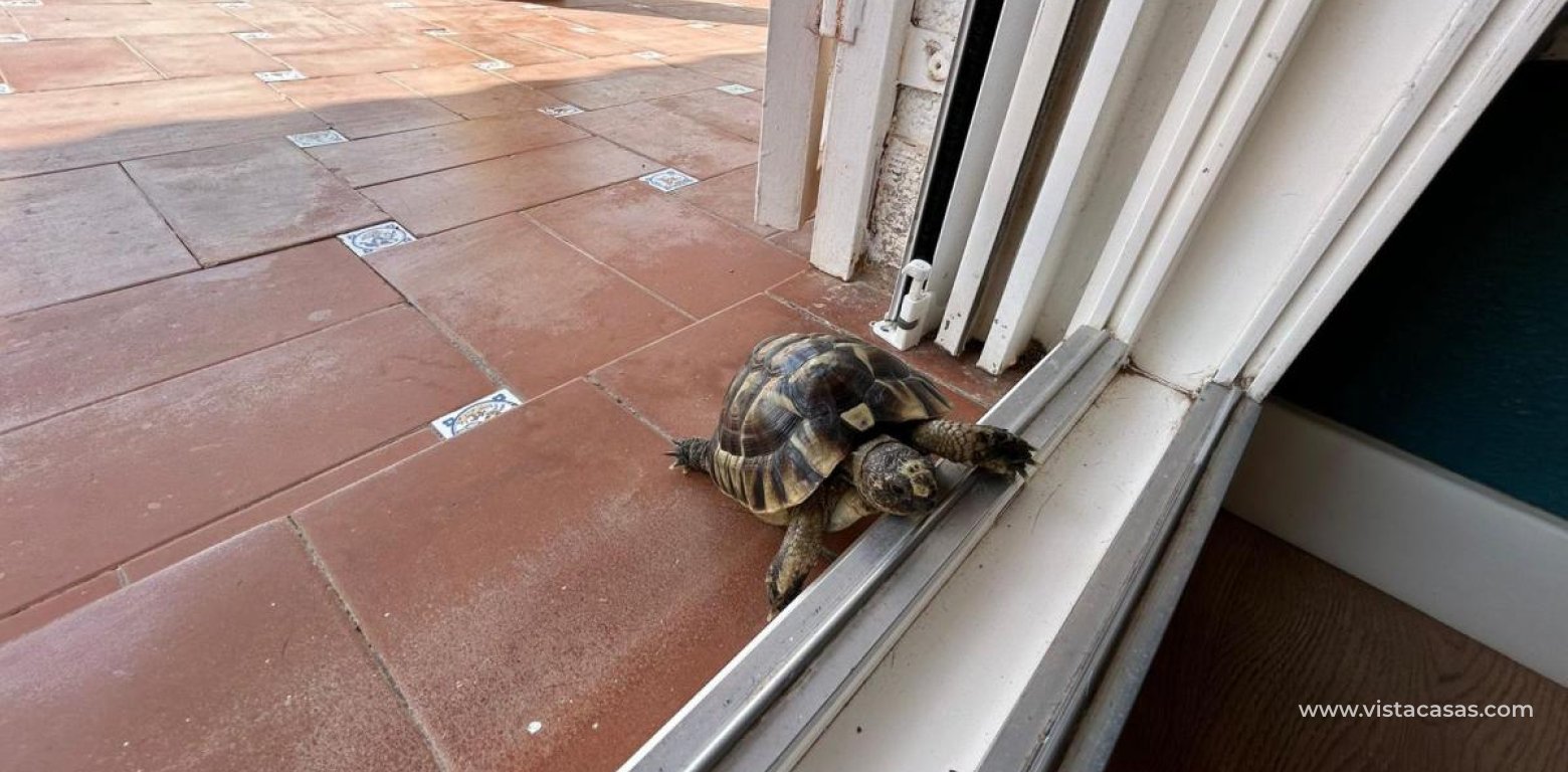 Sale - Villa - San Miguel de Salinas