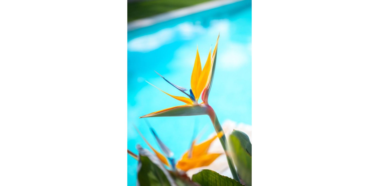 Wtórny - Apartment - Pilar de la Horadada - Lo Romero Golf