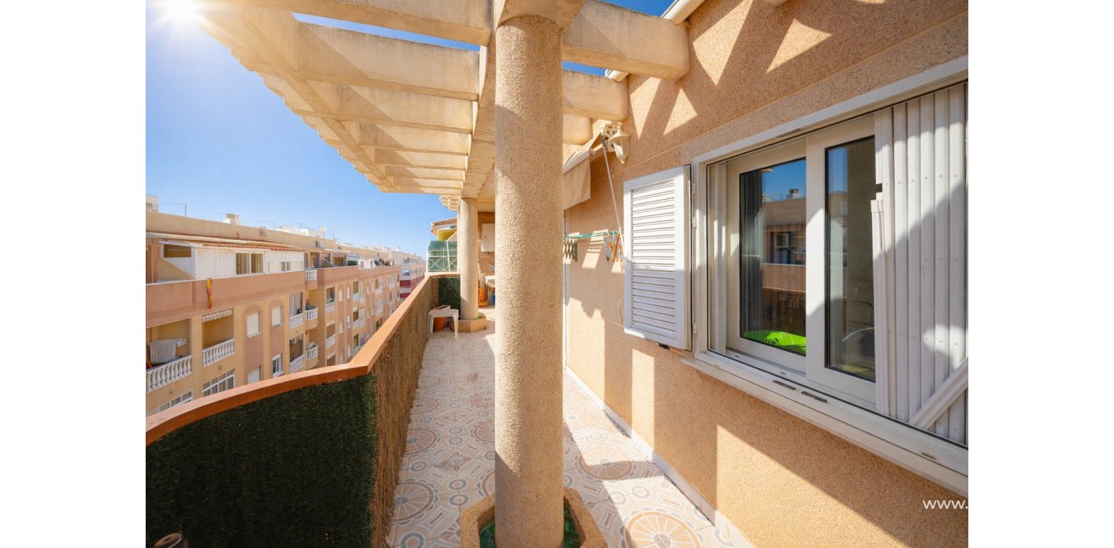 Sale - Wohnung - Torrevieja