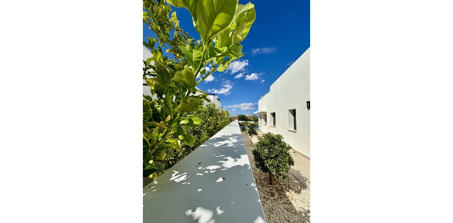 Nouvelle Construction - Villa - Benijofar