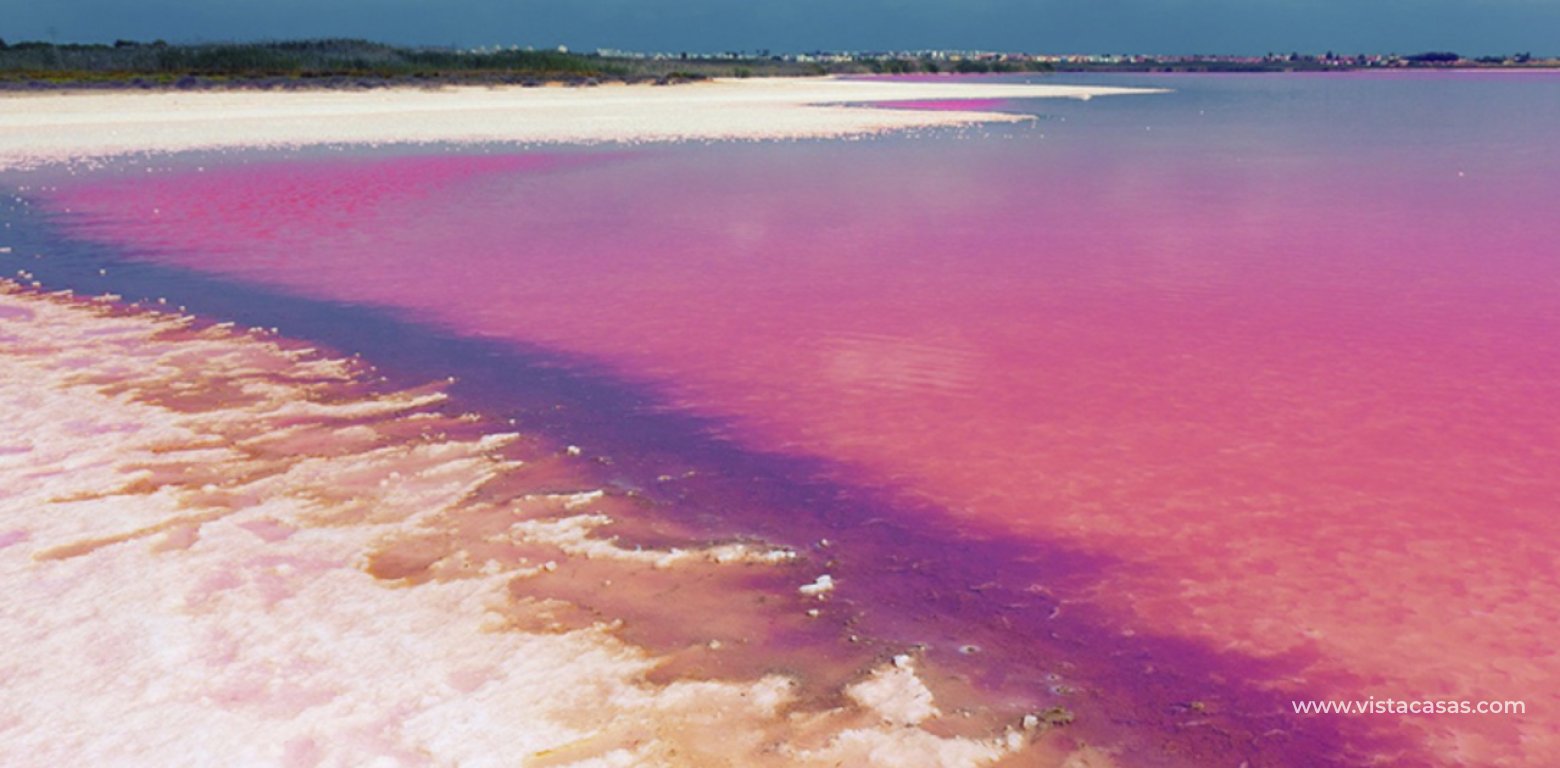 Sale - Lägenhet - Villamartin