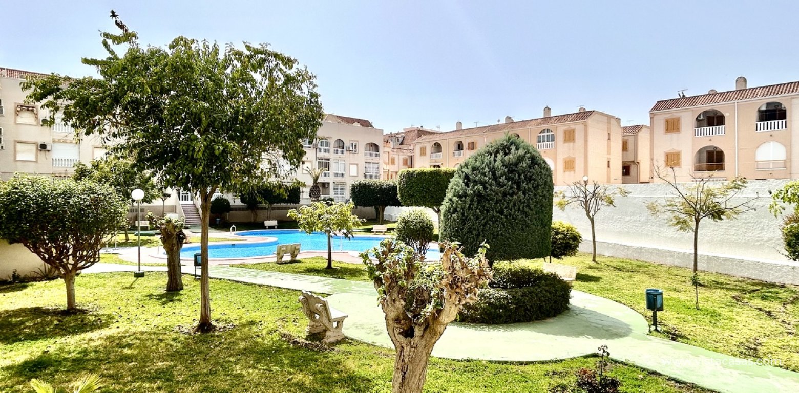 Sale - Wohnung - Torrevieja