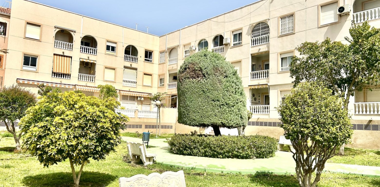 Sale - Wohnung - Torrevieja