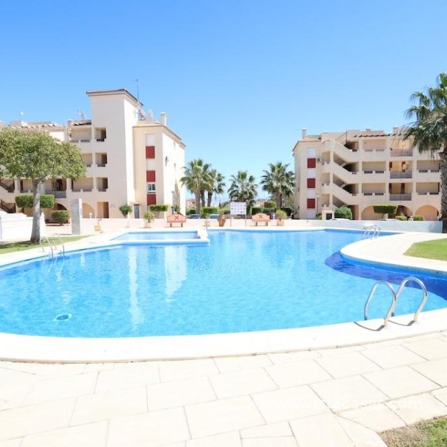 Apartment - Resale - Playa Flamenca - Playa Flamenca