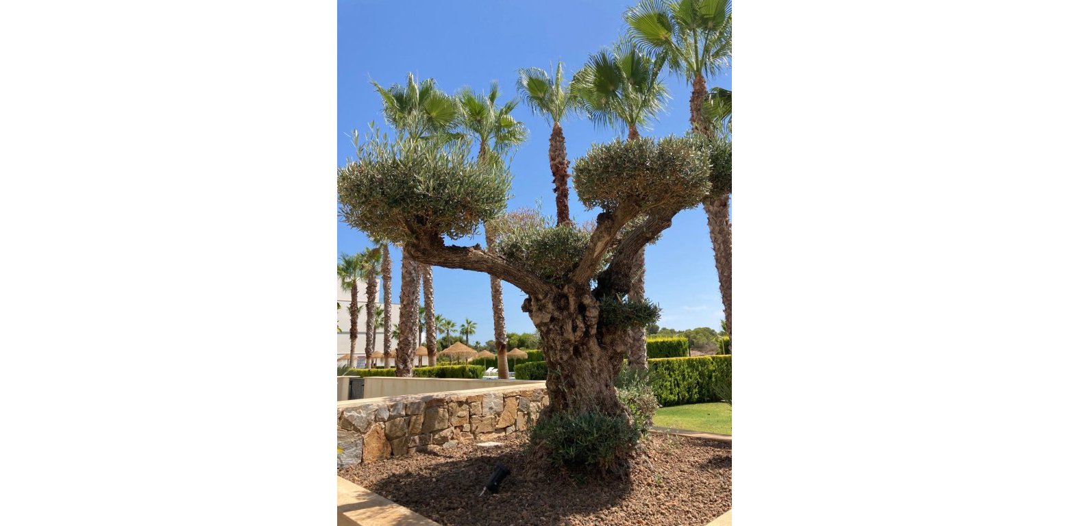 Sale - Appartement - Las Colinas Golf