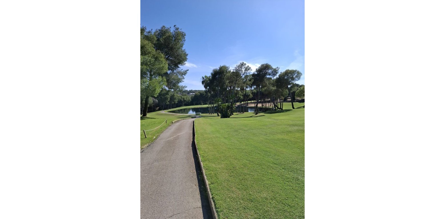 Sale - Wohnung - Las Ramblas