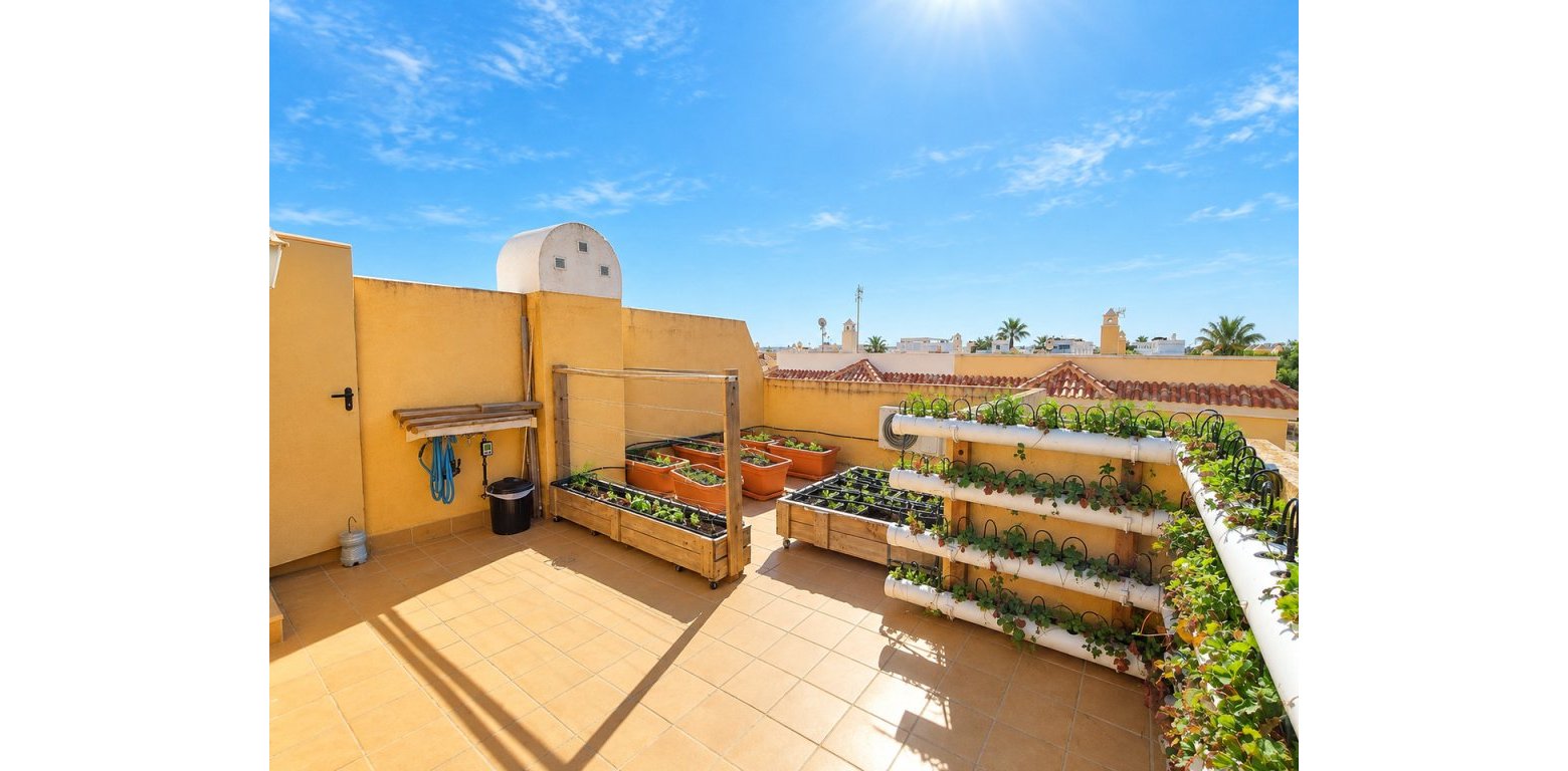Sale - Townhouse - Rojales - Ciudad Quesada