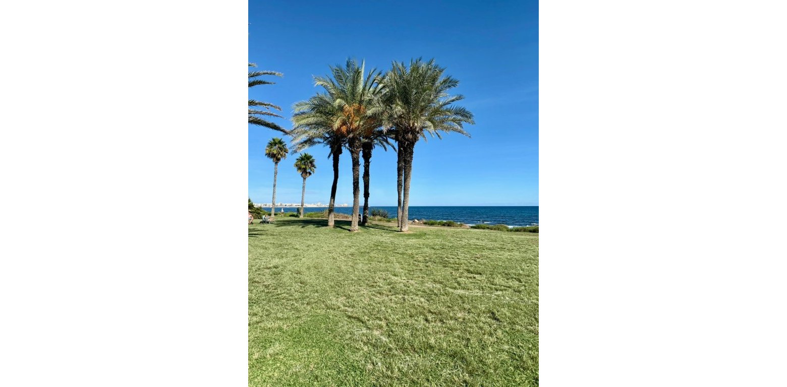 Resale - Apartment - Torrevieja
